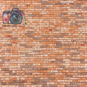 Kate Vintage Multi Brick Wall Backdrop Designed By Leann West