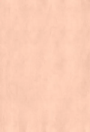 Kate Vintage Peach Rose Pink Paper Textured Backdrop for Photography