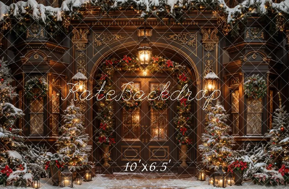 Kate Winter Christmas Brown Vintage Arched Door Backdrop Designed by Chain Photography