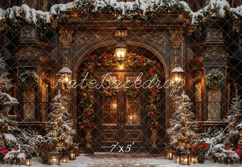 Kate Winter Christmas Brown Vintage Arched Door Backdrop Designed by Chain Photography