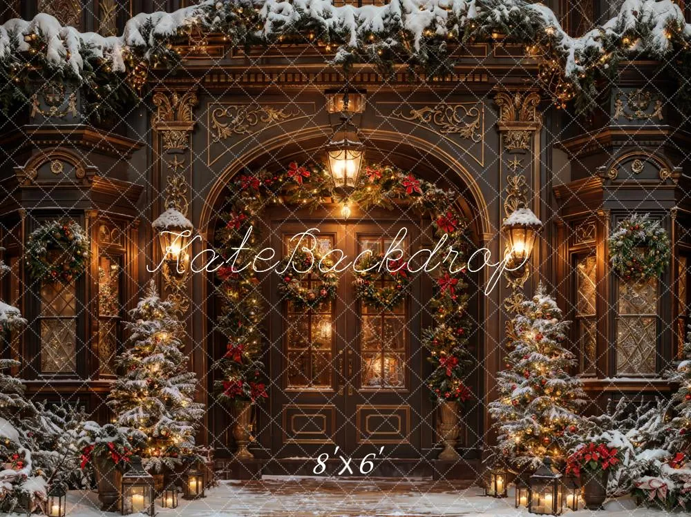 Kate Winter Christmas Brown Vintage Arched Door Backdrop Designed by Chain Photography