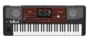 Korg Pa700-OR Professional Arranger Keyboard - Oriental Version
