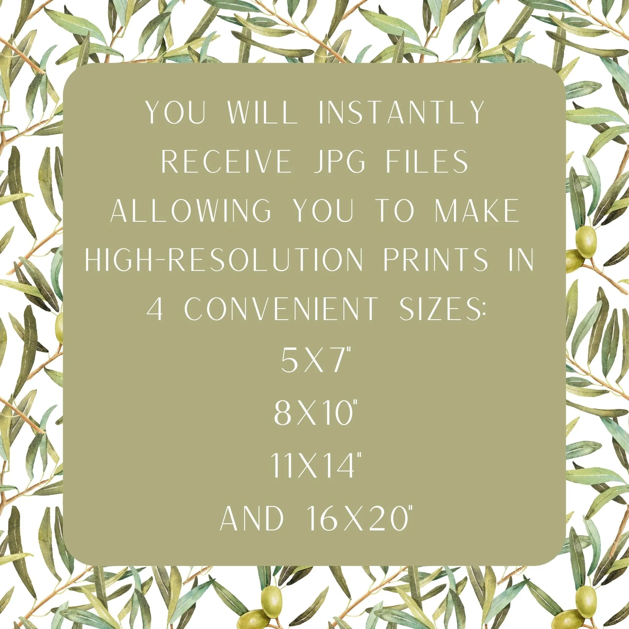 Look at the Birds of the Air: Matthew 6 - Printable Wall Art