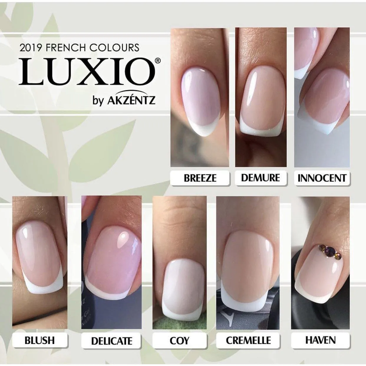 Luxio 9pc French Collection