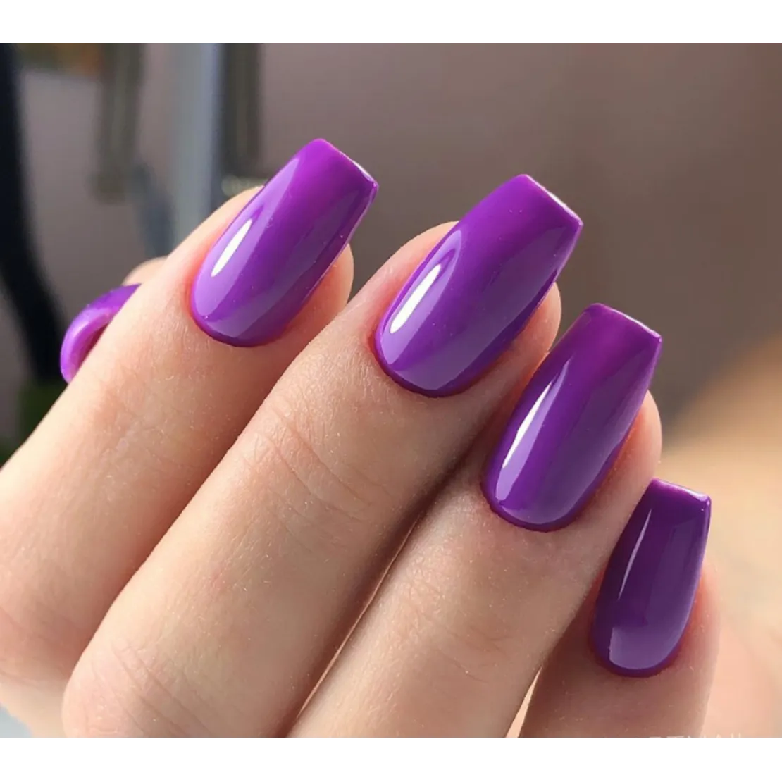 Luxio Posh