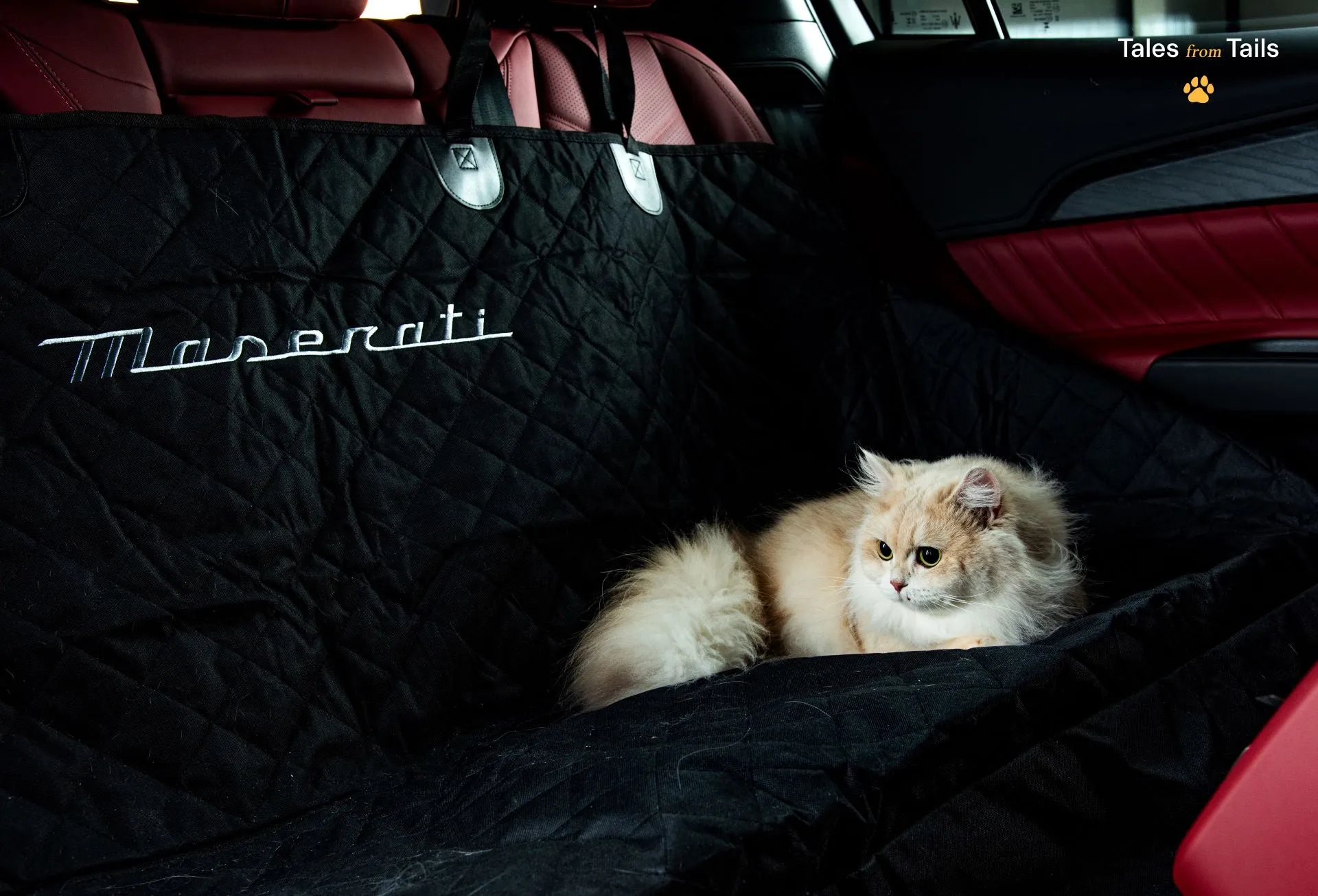 Maserati Backseat Pet Cover & Protector