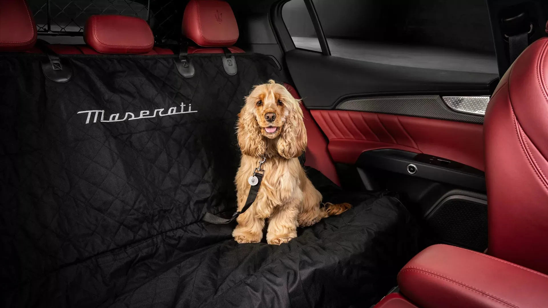 Maserati Backseat Pet Cover & Protector