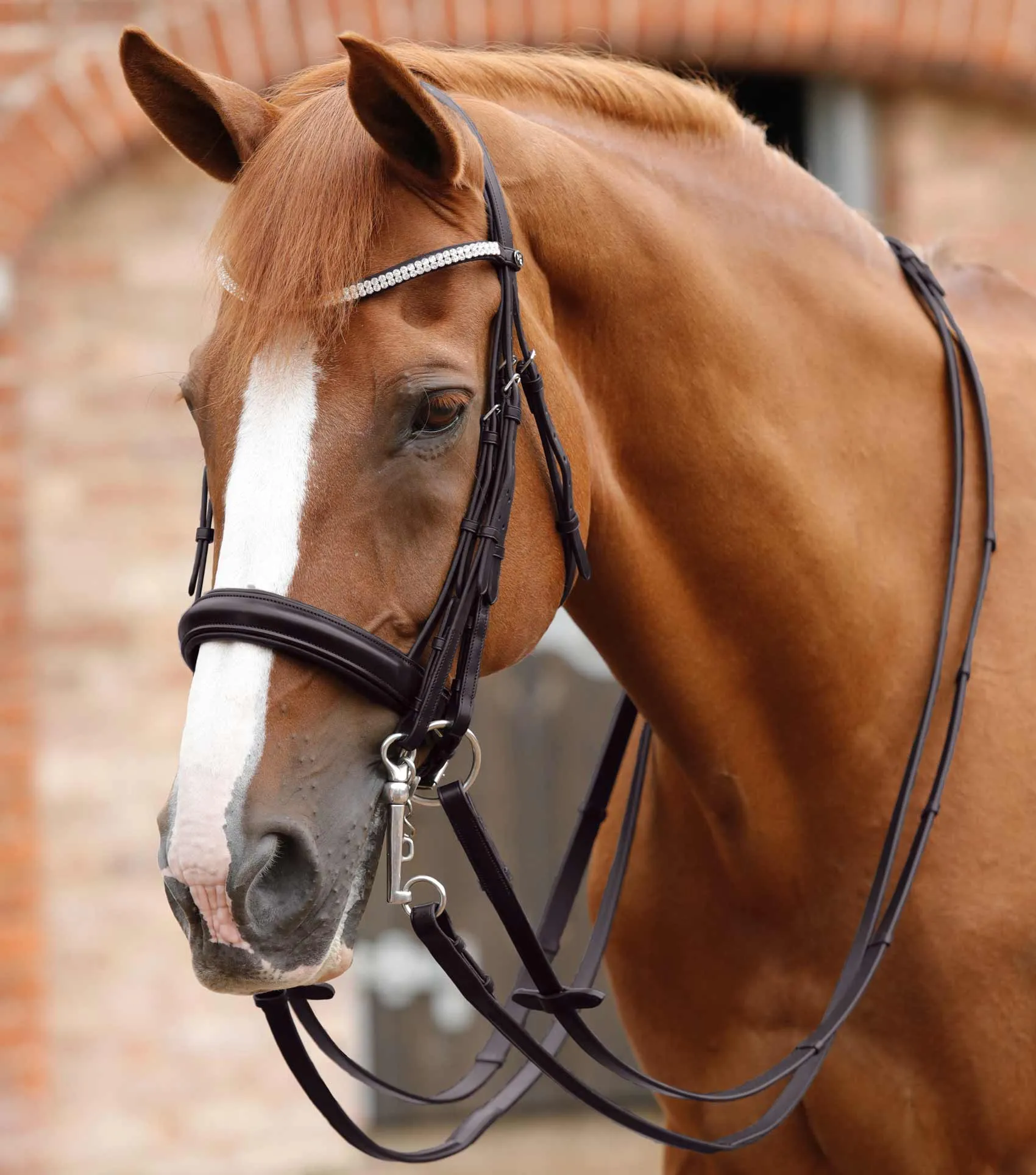 Matteo Leather Grip Reins Brown