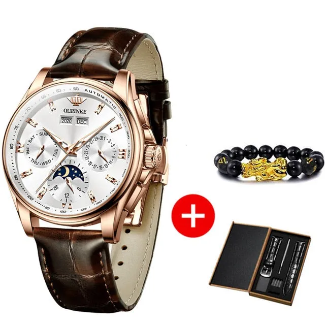 Men Mechanical Automatic Watch Leather Sapphire Wristwatch