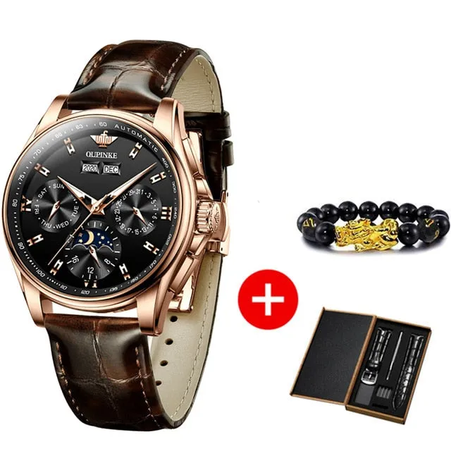 Men Mechanical Automatic Watch Leather Sapphire Wristwatch