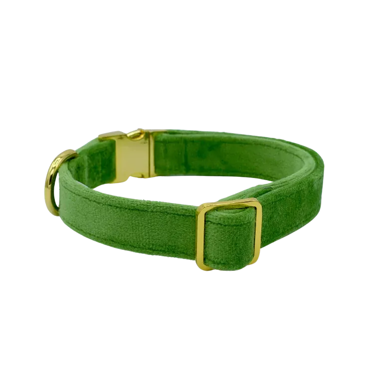 MOLLY & CO. - Collar- Fern Velvet