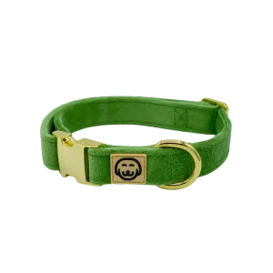 MOLLY & CO. - Collar- Fern Velvet