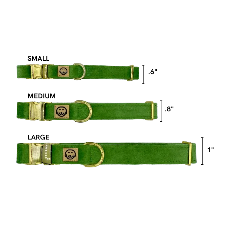 MOLLY & CO. - Collar- Fern Velvet