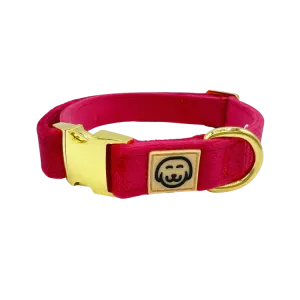 MOLLY & CO. - Collar- Scarlet Velvet