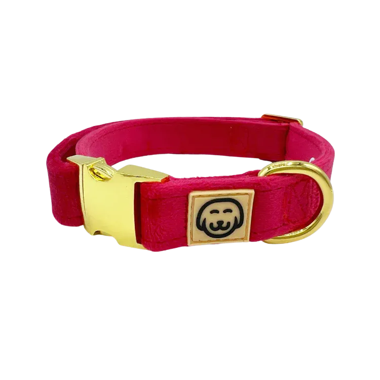 MOLLY & CO. - Collar- Scarlet Velvet