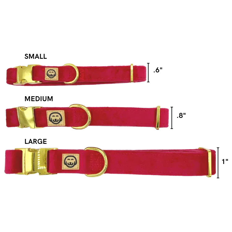 MOLLY & CO. - Collar- Scarlet Velvet