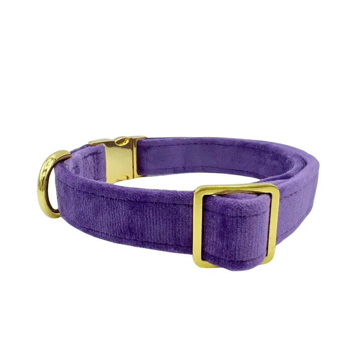 MOLLY & CO. - Collar- Violet Velvet