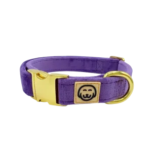 MOLLY & CO. - Collar- Violet Velvet
