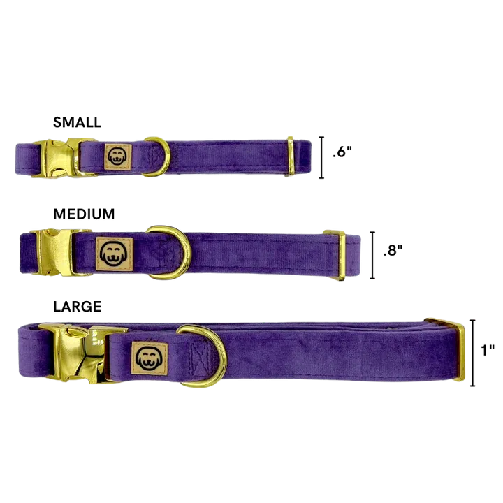 MOLLY & CO. - Collar- Violet Velvet
