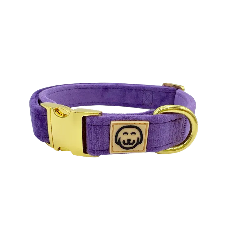 MOLLY & CO. - Collar- Violet Velvet