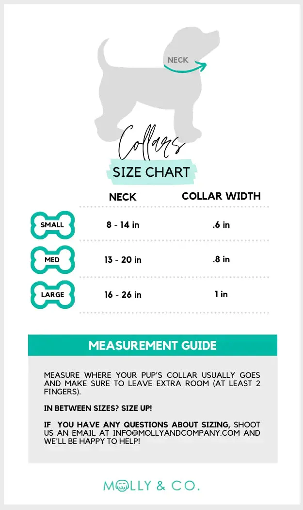 MOLLY & CO. - Collar- Violet Velvet
