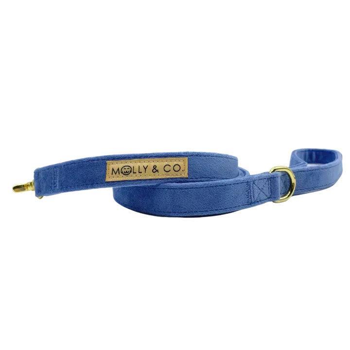 MOLLY & CO. - Leash- Blue Denim Velvet