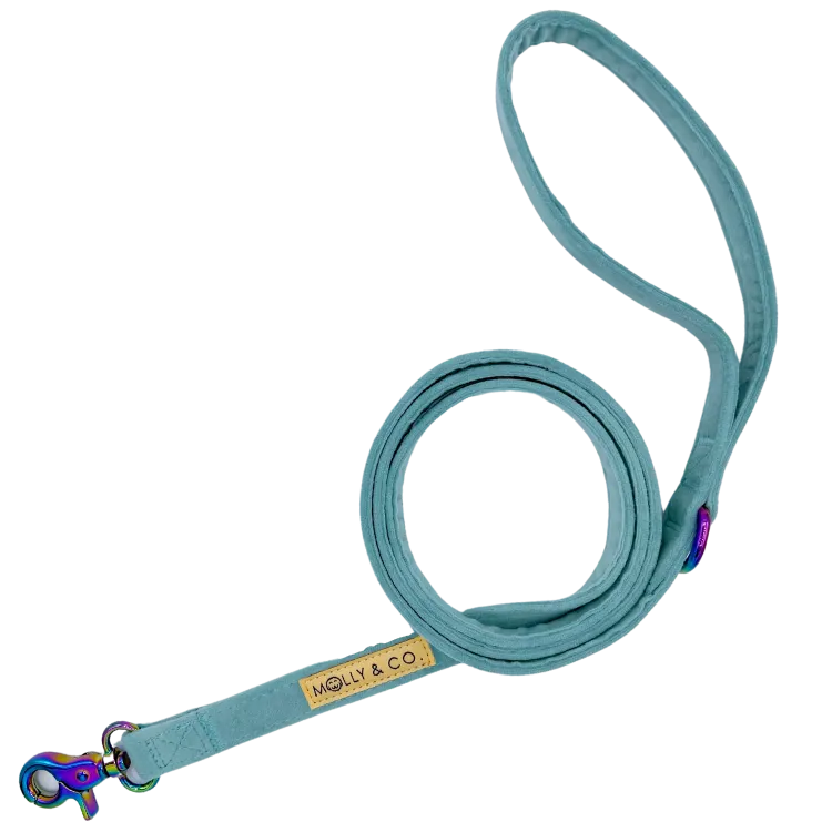 Molly Velvet - Dog Leash