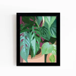 Monstera Adansionii Plant Print