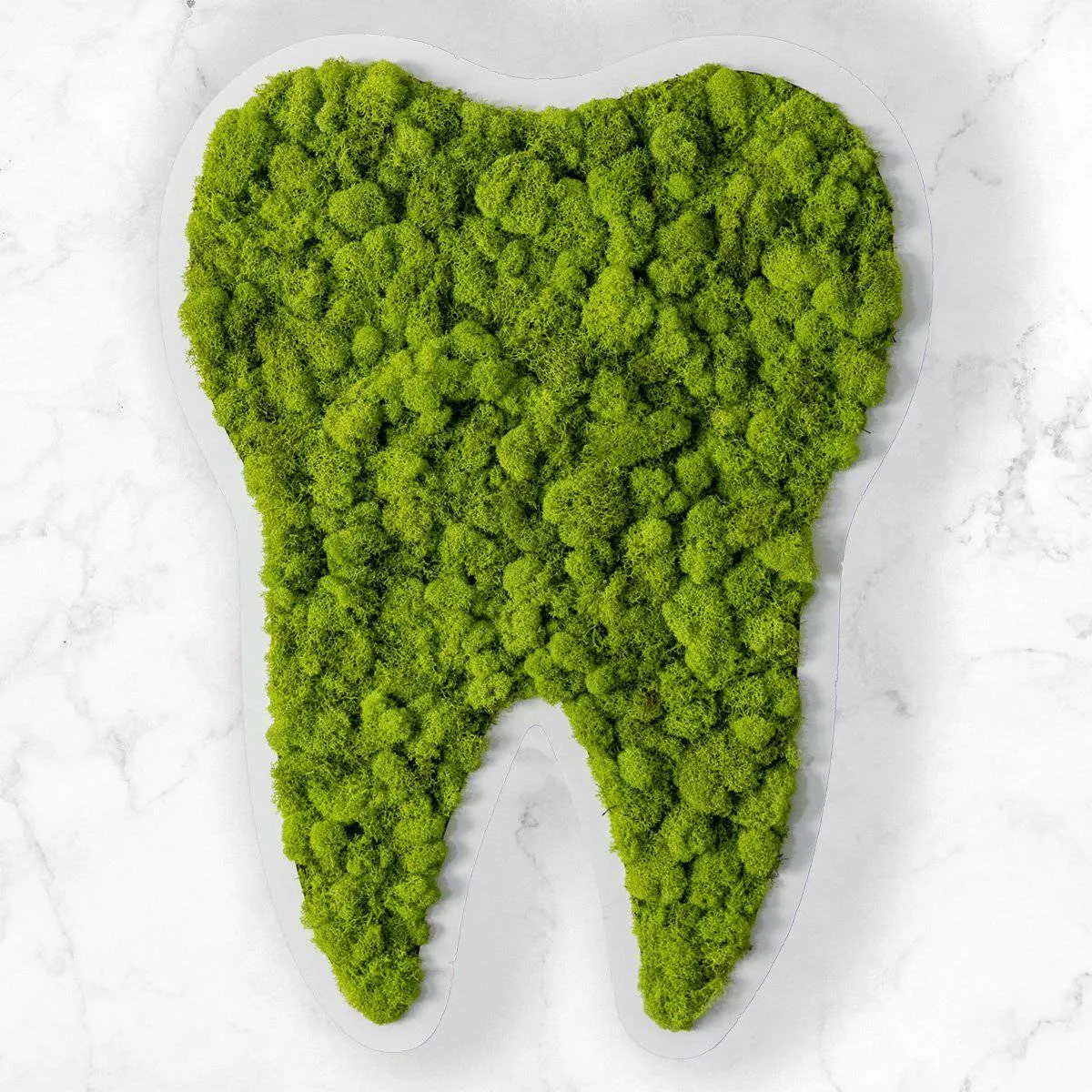 Moss Tooth Wall Art