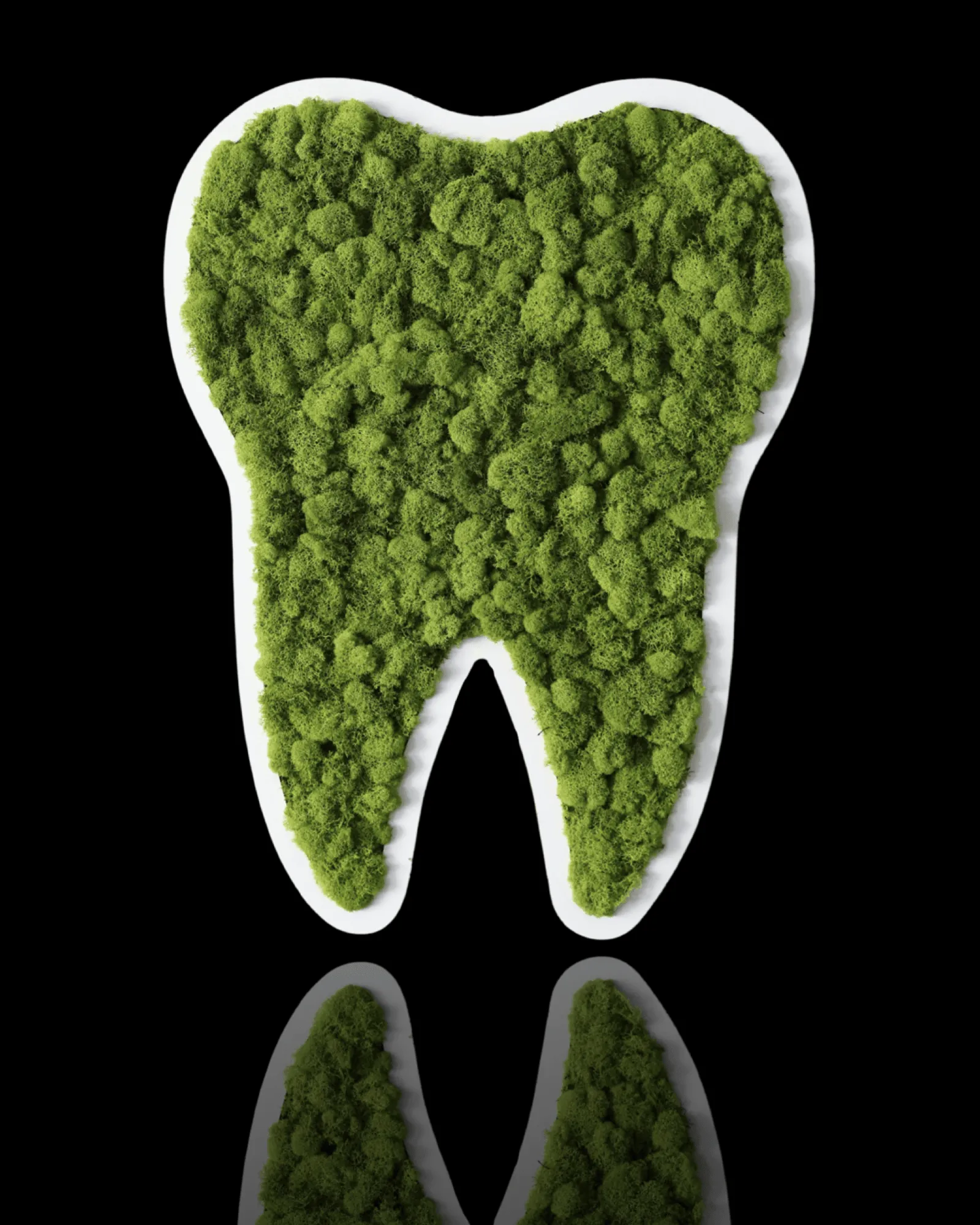 Moss Tooth Wall Art