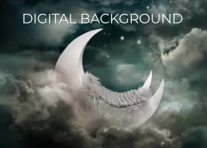 Night Light Moon Digital Background