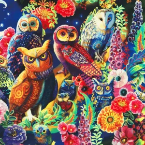 Night Owls Nature