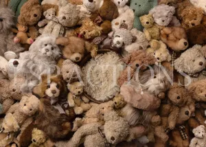 One Of These Bears Digital Background
