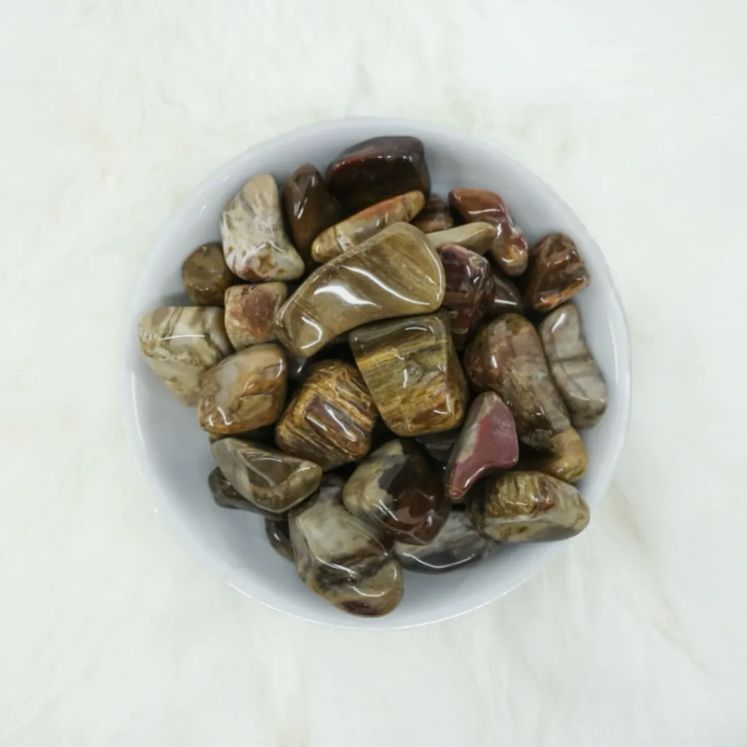 Petrified Wood Tumbled