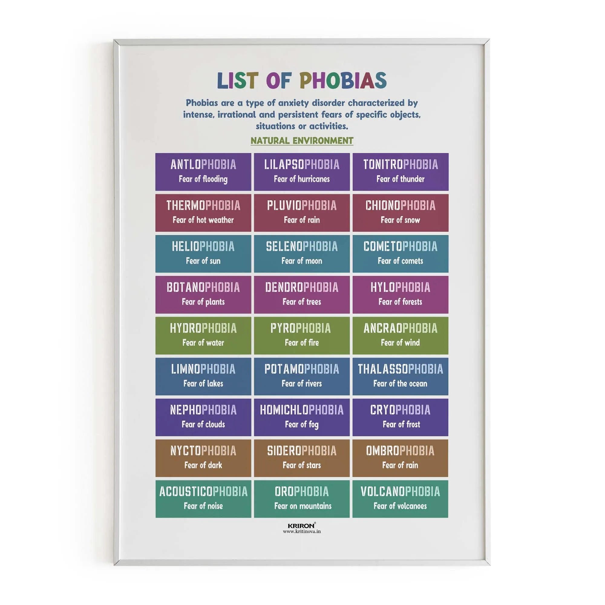 Phobias Part 3 - Natural Environment Phobias, English Language Poster, English Educational Poster, Kids Room Decor, Classroom Decor, English Vocabulary Poster, Homeschooling Poster