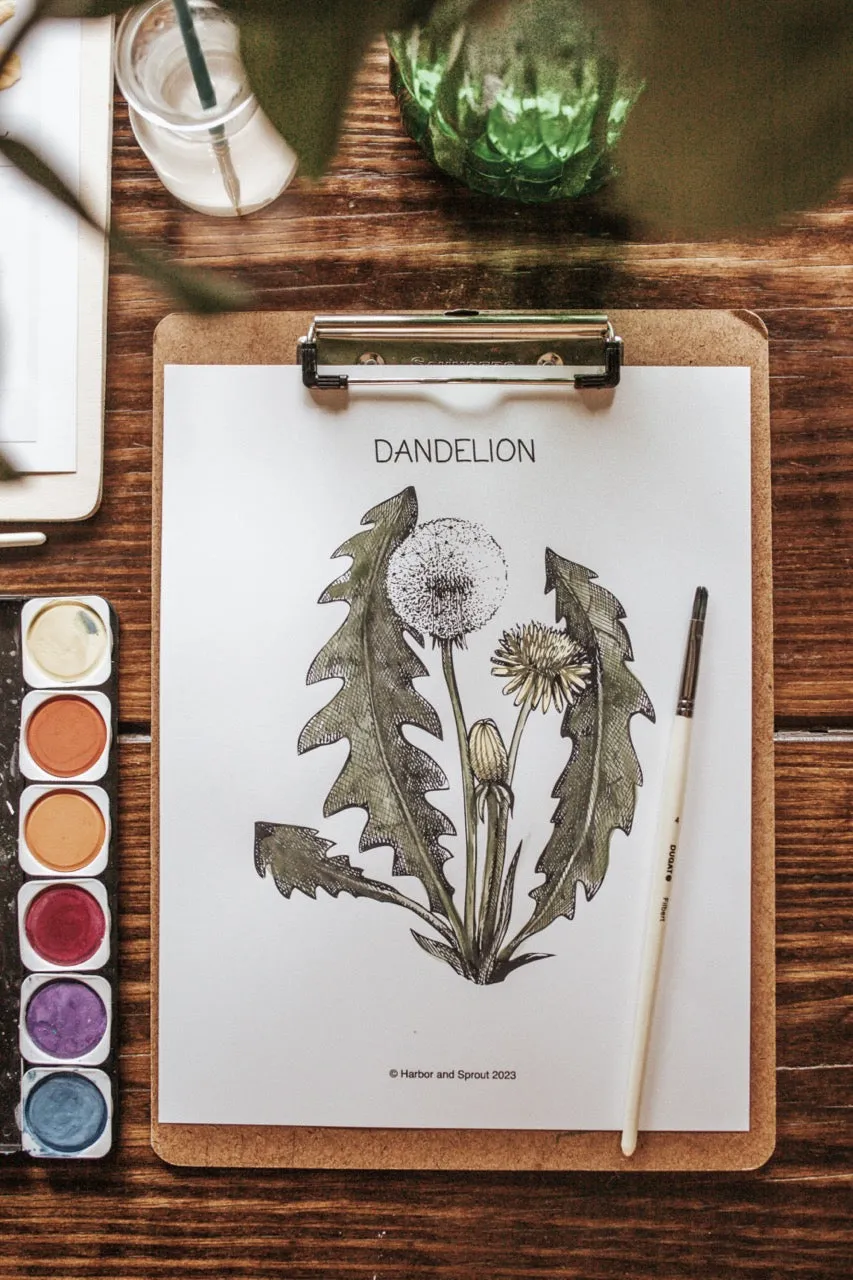 Plant Press Journal & Herbarium