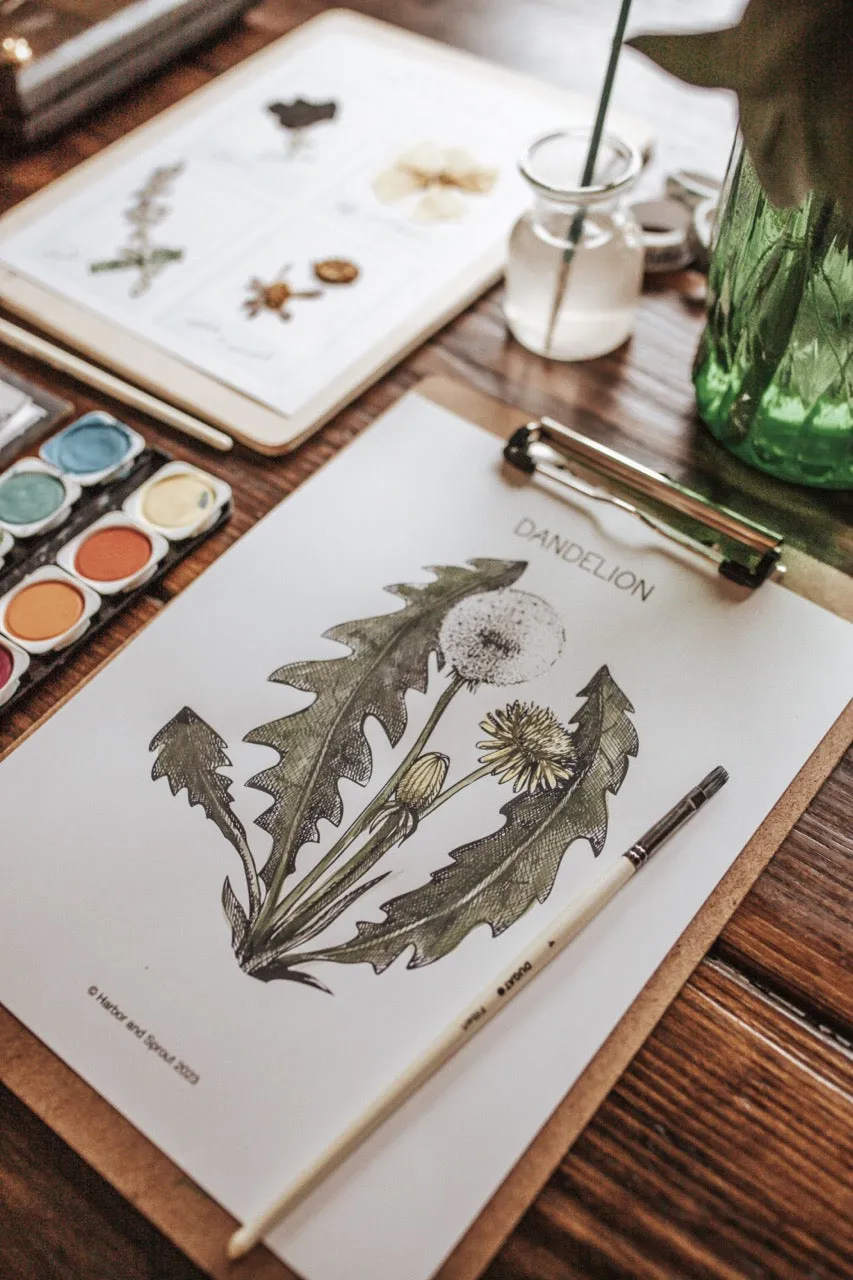 Plant Press Journal & Herbarium
