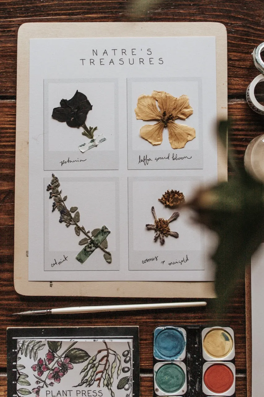 Plant Press Journal & Herbarium