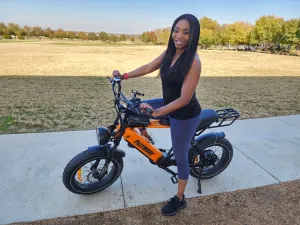 Pälymorf Apollo 500 Electric Bike