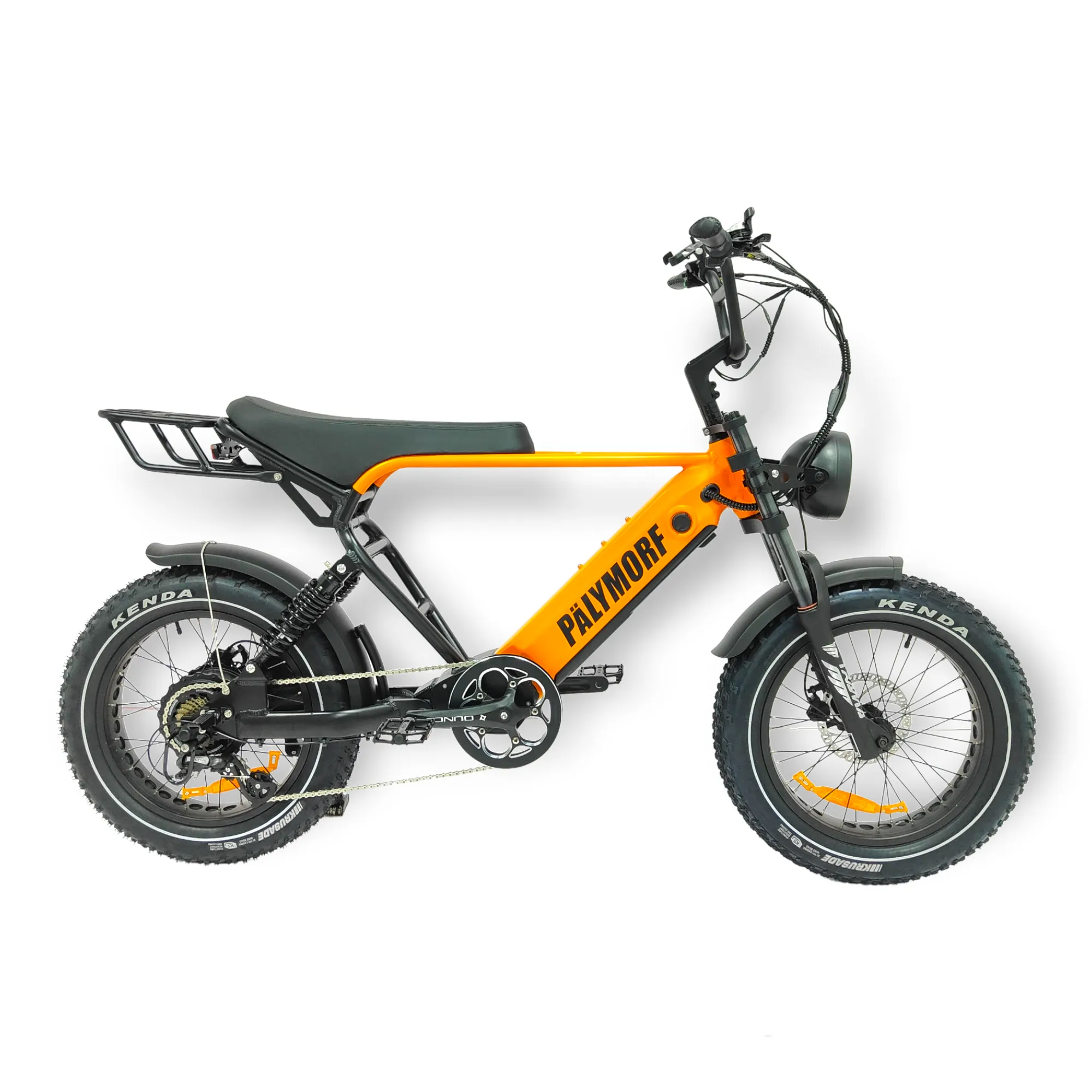 Pälymorf Apollo 500 Electric Bike