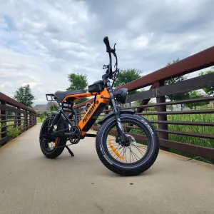 Pälymorf Apollo 750 Electric Bike