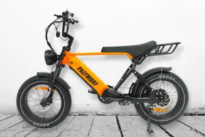 Pälymorf Apollo GT - 1250w 52v