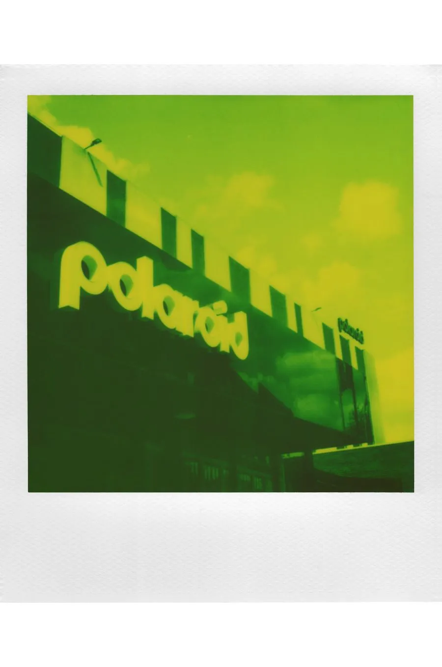 Polaroid 600 Film - Green (Reclaimed Series)
