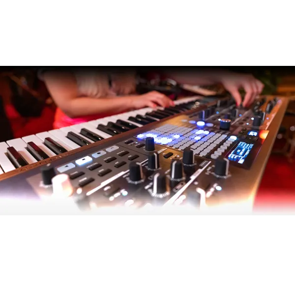 PolyBrute