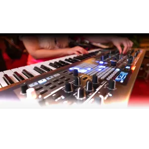 PolyBrute