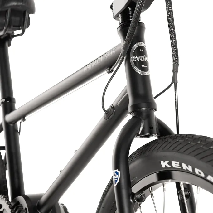 Project BMX ebike