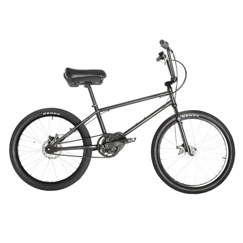 Project BMX ebike