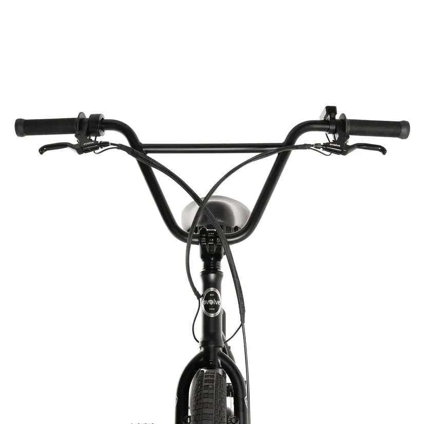 Project BMX ebike
