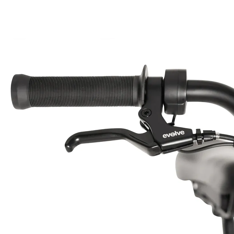 Project BMX ebike