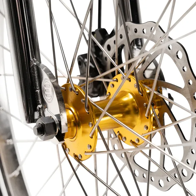 Project BMX ebike
